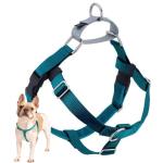 2 Hounds Design Freedom No Pull Dog Harness | Adjustable Gentle Comfortable Control for Easy Dog Walking | for Small Medium and Large Dogs | Made in USA | Leash Not Included | 1" LG Teal from 2 Hounds Design