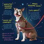 2 Hounds Design Freedom No Pull Dog Harness | Adjustable Gentle Comfortable Control for Easy Dog Walking | for Small Medium and Large Dogs | Made in USA | Leash Not Included | 1" LG Teal from 2 Hounds Design