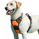 Eagloo Dog Harness No Pull, Walking Pet Harness with 2 Metal Rings and Handle Adjustable Reflective Breathable Oxford Soft Vest Easy Control Front Clip Harness Outdoor for Large Dogs Orange by HOMEIN CO.,LTD