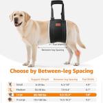 LOOBANI Portable Dog Sling for Back Legs, Hip Support Harness to Help Lift Rear for Canine Aid Old K9 Cruciate Ligament Rehabilitation by LOOBANI dysplasia brace surgery brace orthopedic underbelly