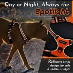 Eagloo Dog Harness No Pull, Walking Pet Harness with 2 Metal Rings and Handle Adjustable Reflective Breathable Oxford Soft Vest Easy Control Front Clip Harness Outdoor for Large Dogs Orange by HOMEIN CO.,LTD