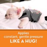Thundershirt Dog Anxiety Treatment - Gray (Medium) by Central Garden & Pet
