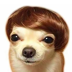 MESINURS Dog Wig Pet Costumes, Cat Costume Synthetic Accessories Small Dog Headwear for Halloween Christmas Eve Festival Party Decor, Head Wear Apparel Toy from MESINURS