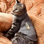 ThunderShirt Classic Cat Anxiety Jacket, Heather Gray, Medium by Thundershirt