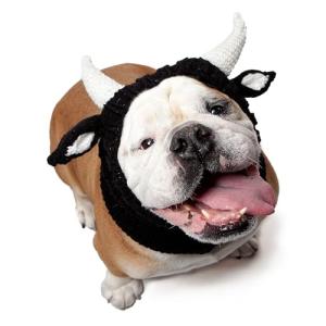 Zoo Snoods Bull Dog Costume - Neck and Ear Warmer Hood for Pets (Large) from Zoo Snoods