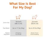 Amazon Basics Two-Door Top-Load Hard-Sided Pet Travel Carrier, 23-Inch from Amazon Basics