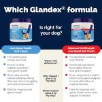 Glandex Anal Gland Soft Chew Treats with Pumpkin for Dogs 60ct Chews with Digestive Enzymes, Probiotics Fiber Supplement for Dogs â Vet Recommended - Boot The Scoot (Peanut Butter) - by Vetnique Labs by Glandex