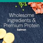 Canidae 3317 Grain Free Pure Sea Cat Dry Formula With Fresh Salmon, 10 Lbs from CANIDAE Corporation