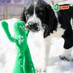 Multipet Gumby Plush Filled Dog Toy, 9-Inch from Multipet International