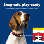 PetSafe KeepSafe Durable Dog Collar