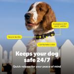PetSafe KeepSafe Durable Dog Collar
