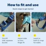 PetSafe KeepSafe Durable Dog Collar