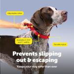 PetSafe Large Red Martingale Collar 1-Inch