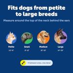 PetSafe Large Red Martingale Collar 1-Inch