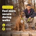 PetSafe Large Red Martingale Collar with Quick Snap