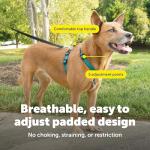 PetSafe Adjustable No Pull Harness for Dogs