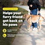 PetSafe CareLift Full-Body Harness for Dogs