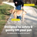 PetSafe CareLift Full-Body Harness for Dogs