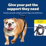 Solvit Care Lift Medium Dog Lifting Harness