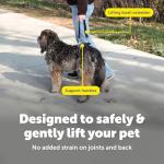 Solvit Care Lift Medium Dog Lifting Harness