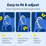 Solvit Care Lift Medium Dog Lifting Harness