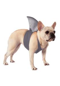 Shark Fin Costume for Dogs and Cats