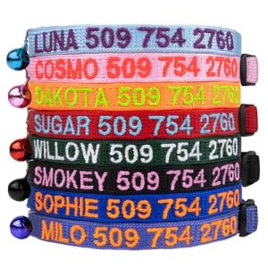 Personalized Cat Collar with Bell and Breakaway Buckle