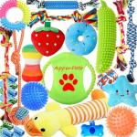 25-Pack Aipper Dog Toys for Fun and Chewing