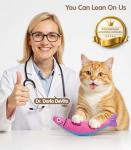 Interactive Cat Toy with Catnip and Silvervine