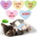 5-Pack Heart Catnip Toys for Valentine's Day