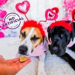 Old Mother Hubbard Peanut Butter Dog Treats