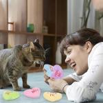 5-Pack Heart Catnip Toys for Valentine's Day