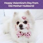 Old Mother Hubbard Peanut Butter Dog Treats