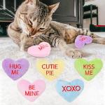 5-Pack Heart Catnip Toys for Valentine's Day