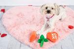 Valentine’s Day Plush Dog Toy Set - 3 Pack