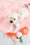 Valentine’s Day Plush Dog Toy Set - 3 Pack