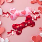 Valentine's Day Plush Squeaky Dog Toys - 2 Pack