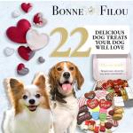 Valentine's Dog Treats Gift Box - 22 Gourmet Snacks