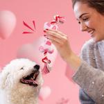 Valentine's Day Plush Squeaky Dog Toys - 2 Pack