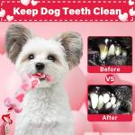 Valentine's Day Plush Squeaky Dog Toys - 2 Pack