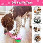 Lepawit Valentine's Day Squeaky Dog Toys Set