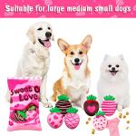 Lepawit Valentine's Day Squeaky Dog Toys Set