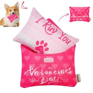 Valentine's Day Squeaky Dog Toys for All Sizes