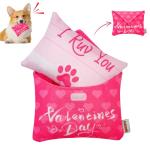Valentine's Day Squeaky Dog Toys for All Sizes