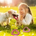 Valentine's Day Heart Shaped Dog Chew Toys Set