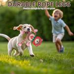 Valentine's Day Plush Squeaky Dog Toy for All Sizes