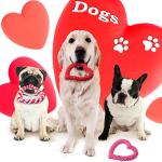 Valentine's Day Heart Shaped Dog Chew Toys Set
