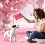 Valentine's Day Squeaky Dog Toys for All Sizes