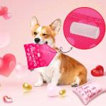 Valentine's Day Squeaky Dog Toys for All Sizes