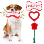 Valentine's Day Squeaky Pet Toy 3-Pack Set
